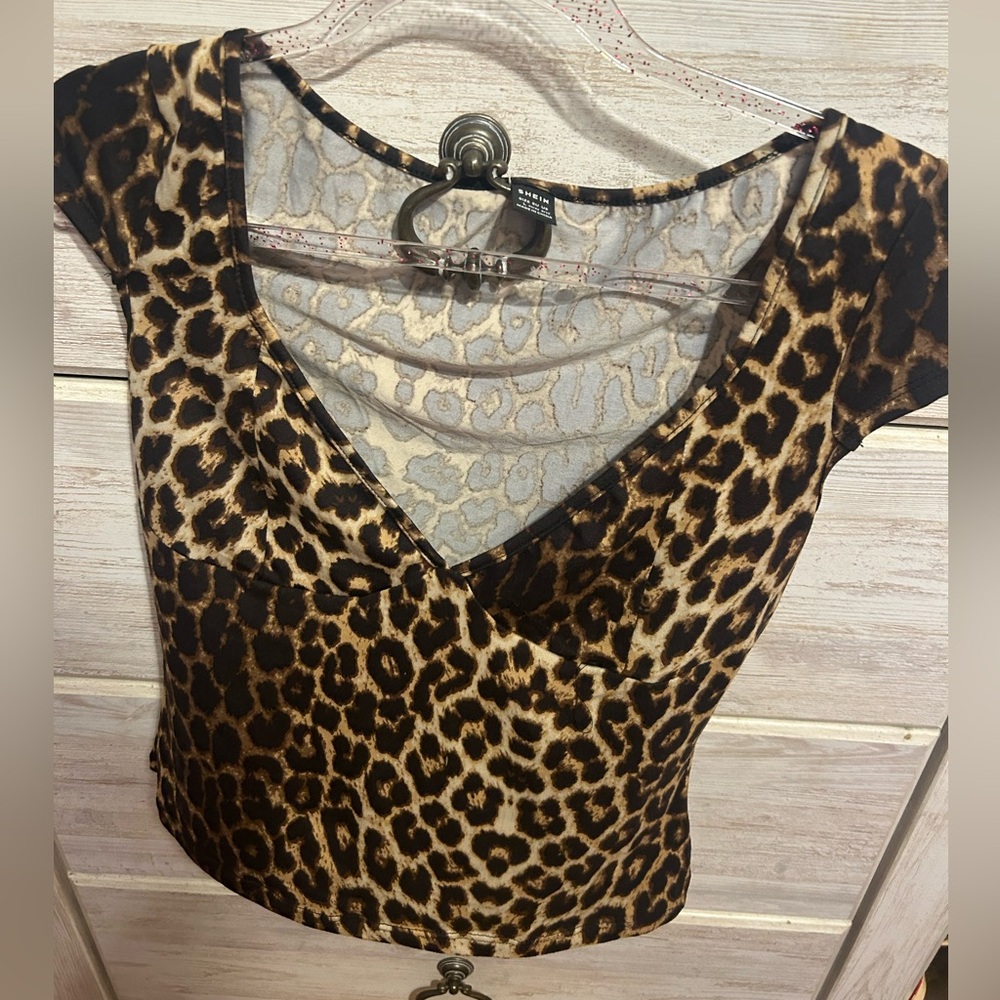 cheetah going out top